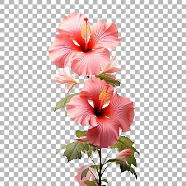PSD un fiore è mostrato con uno sfondo di una foto di un fiore