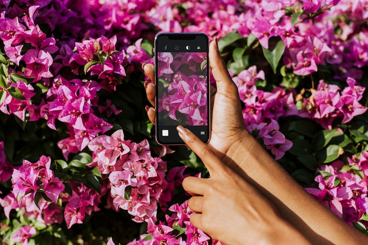 PSD flower photography