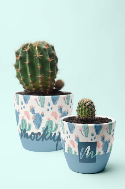 Flower pot mockup design