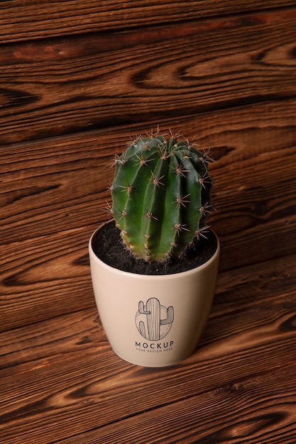 PSD flower pot mockup design