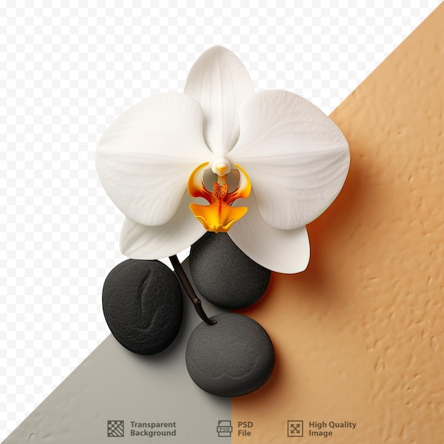 A flower on a screen with a background of black stones.