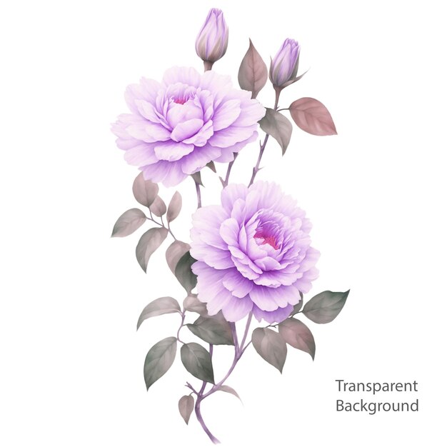 PSD flower transparent background psd