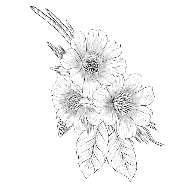 PSD flower trio line art