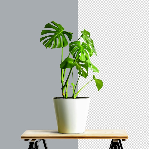 PSD flower vase in desk for mockup