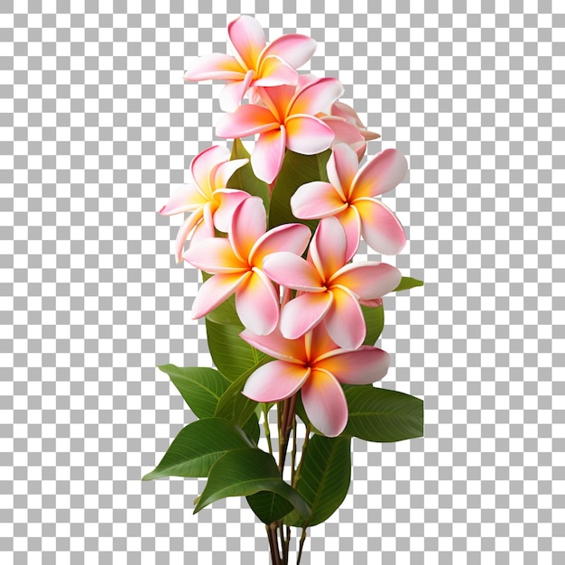 PSD a flower vase with a picture of a flower on it