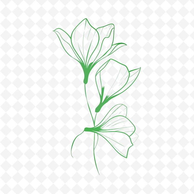 PSD a flower on a white background with a pattern of leaves