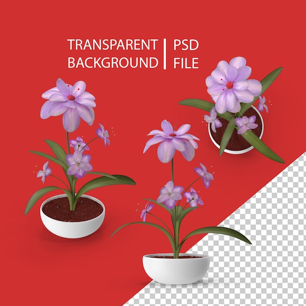 PSD flower in white pot png