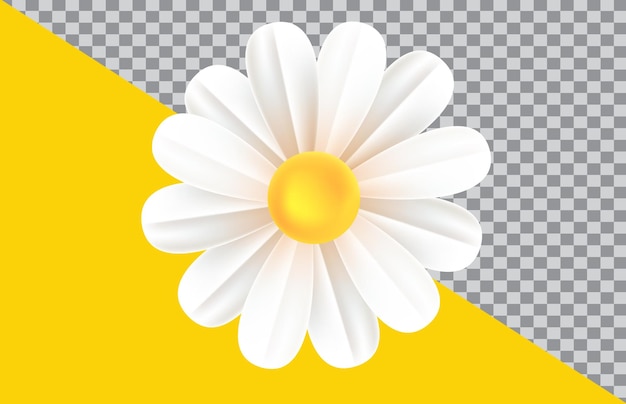 A flower on a yellow background