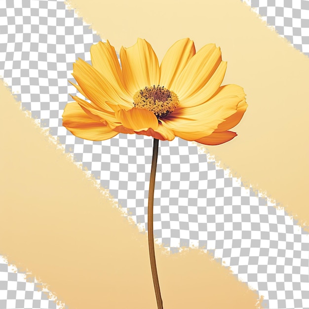 PSD flower of a yellow color