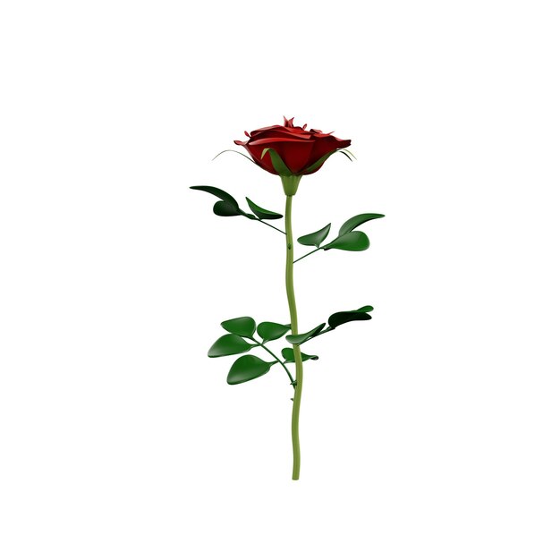 꽃 3D 일러스트