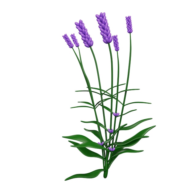 Flowers 3d illustration