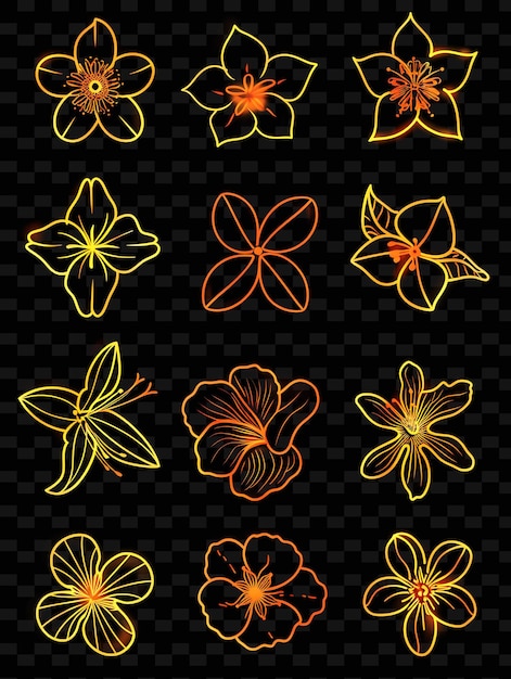 PSD flowers on a black background