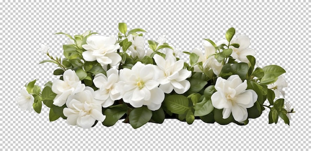 PSD flowers bush isolated on transparent background
