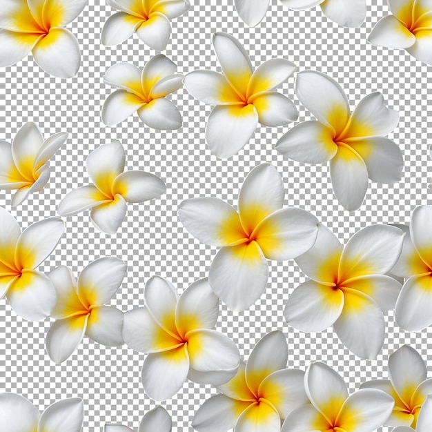 PSD flowers on a checkered background