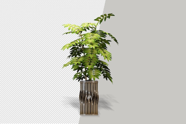 Flowers plant in vase in 3d rendering isolated