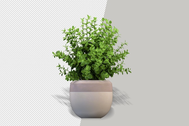 Flowers plant in vase in 3d rendering isolated