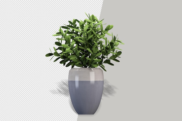 Pianta di fiori in vaso nel rendering 3d isolato