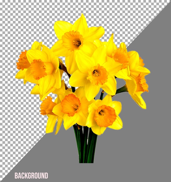 Immagini png di fiori