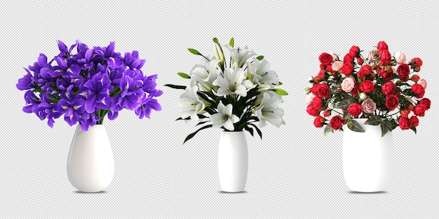 Fiori in vaso nella rappresentazione 3d isolata