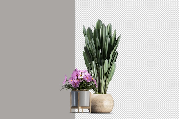 Fiori in vaso nel rendering 3d isolati