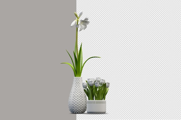 Fiori in vaso nel rendering 3d isolati