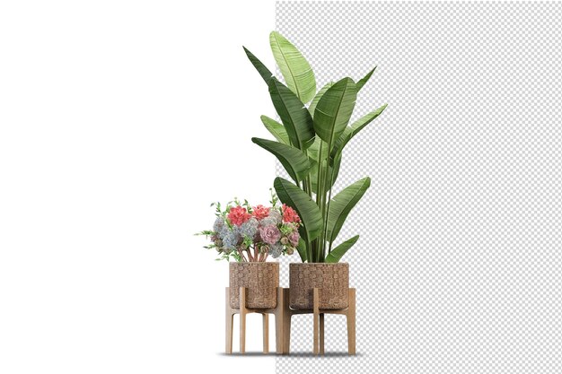 Fiori in vaso nel rendering 3d isolati