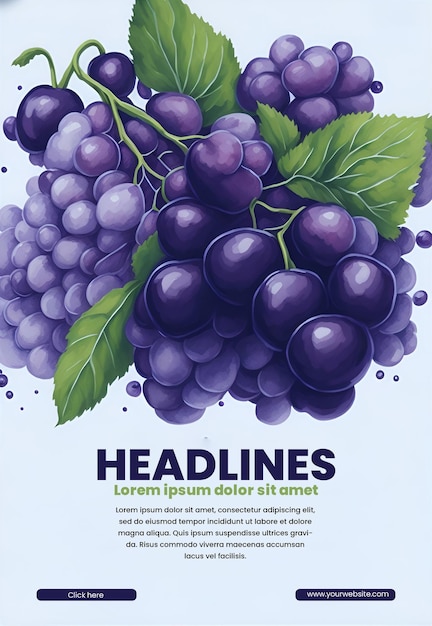 PSD flyer design with grape illustration