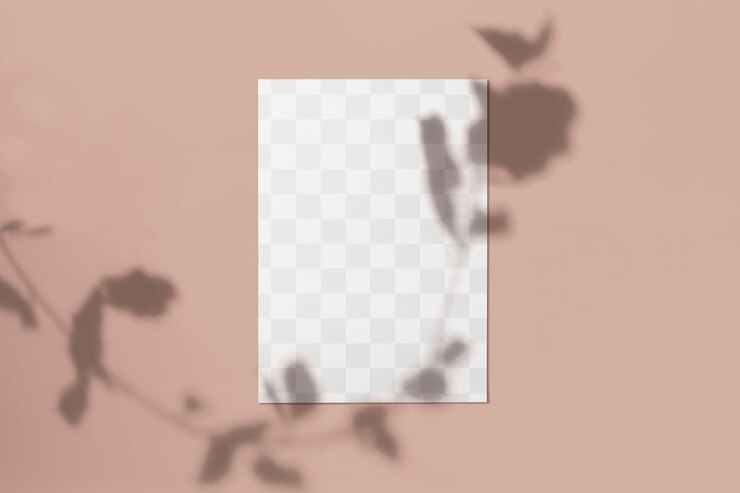 PSD flyer png mockup aesthetic leaf shadow transparent design