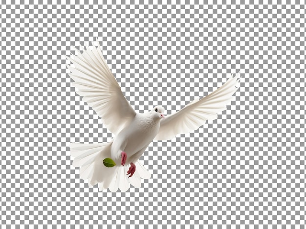 PSD flying beautiful dove isolated on a transparent background