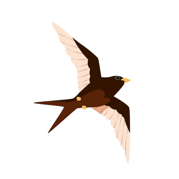 PSD flying bird illustration