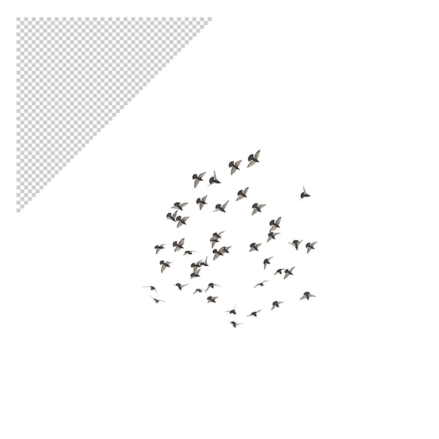 PSD flying birds png