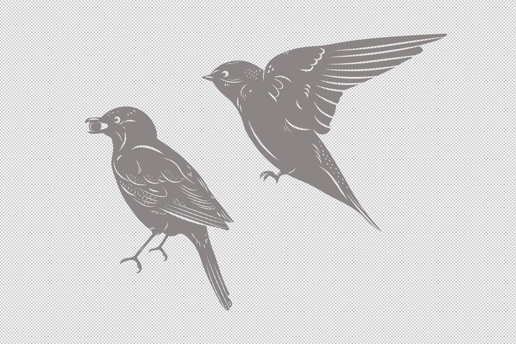 PSD flying birds with berry isolated clipart illustrations