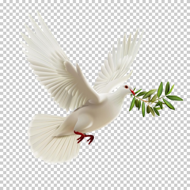 PSD Летающий голубь изолирован на прозрачном фоне