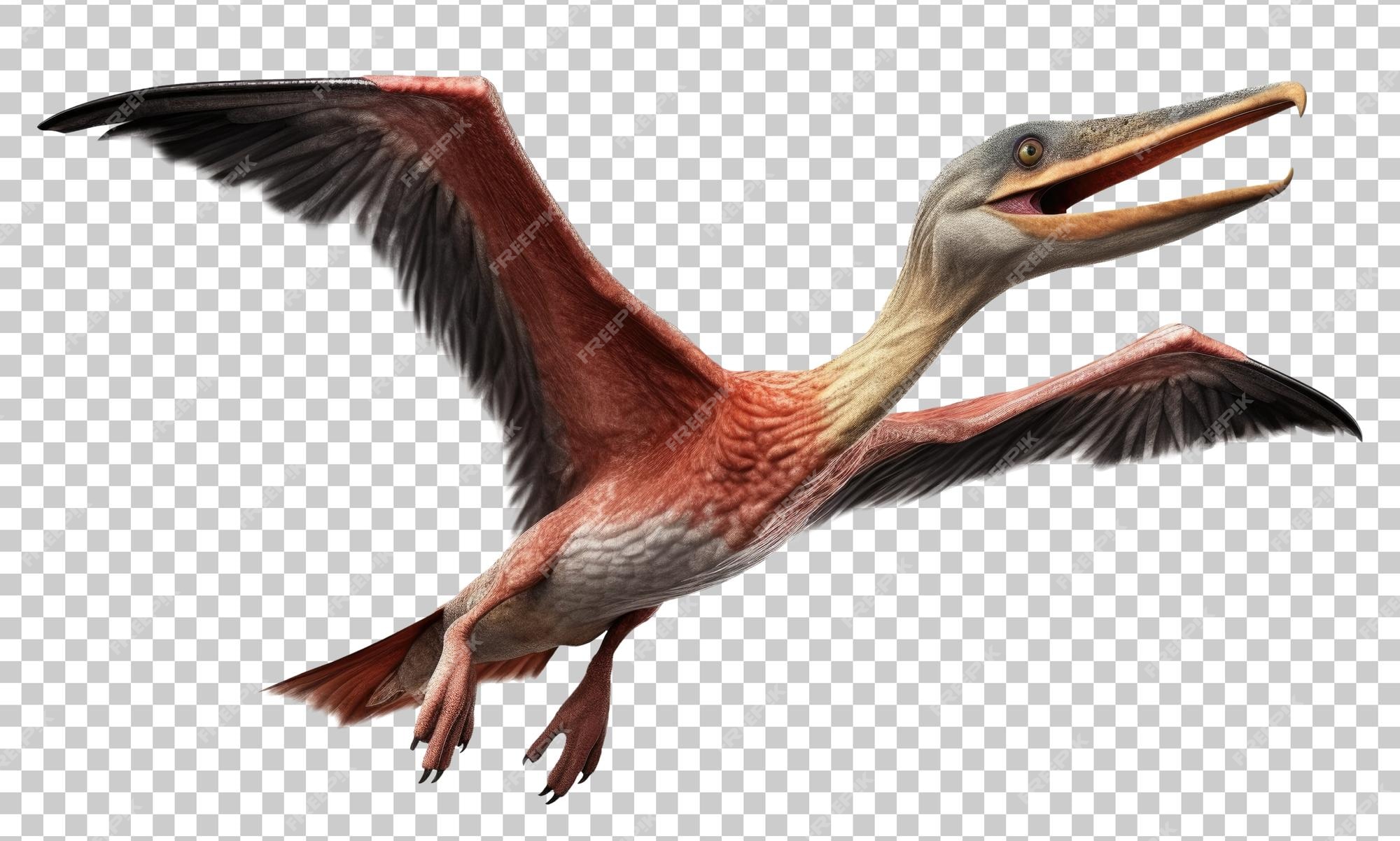 Premium PSD Pterodactyl flying concept isolated on transparent background
