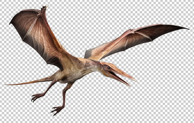 Pterosaurs PNG Picture - PNG All