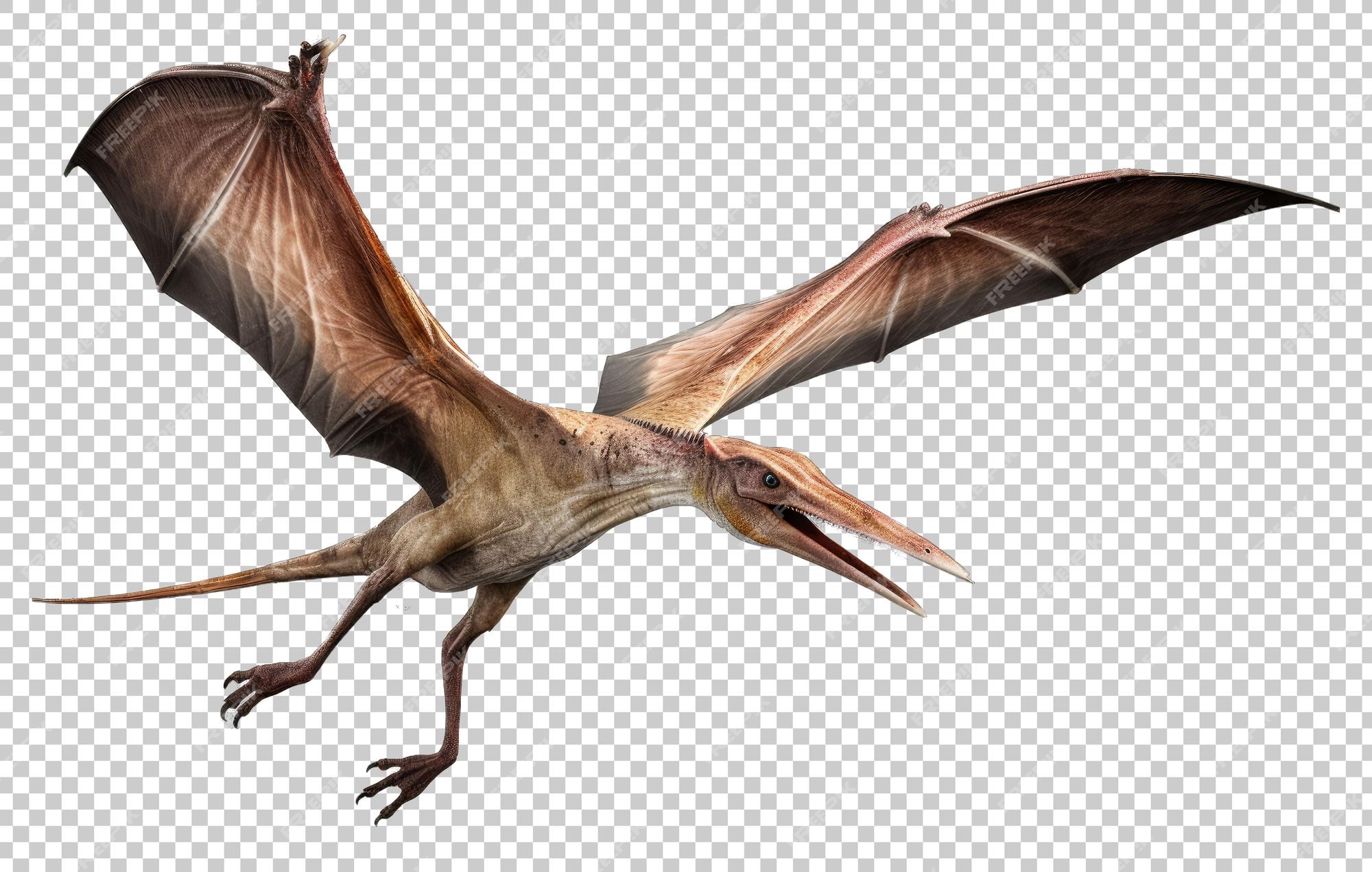 Premium PSD  Flying pterodactyl concept isolated on transparent background