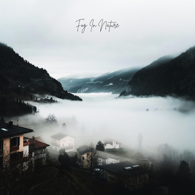 fog in nature morning ai generate