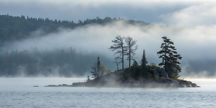 PSD a foggy lake with trees and mountains in the background