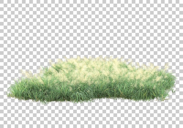 Foliage area on transparent background 3d rendering illustration