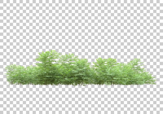 PSD foliage area on transparent background 3d rendering illustration