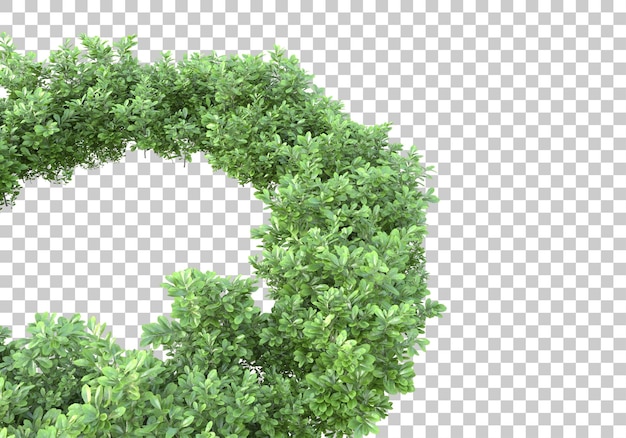 Foliage area on transparent background 3d rendering illustration