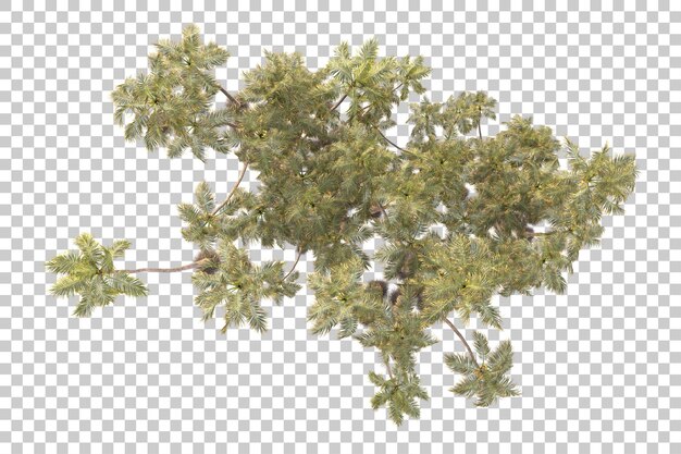 foliage island isolated on transparent background 3d rendering illustration