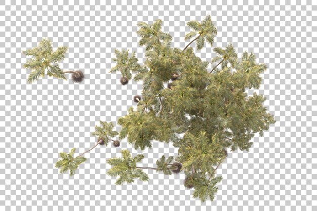 foliage island isolated on transparent background 3d rendering illustration