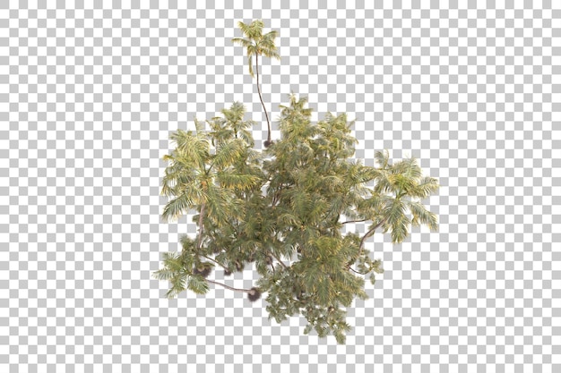foliage island isolated on transparent background 3d rendering illustration