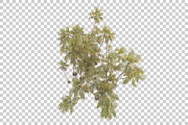 foliage island isolated on transparent background 3d rendering illustration