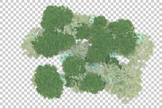Остров листвы изолирован на белом фоне 3d рендеринг иллюстрации