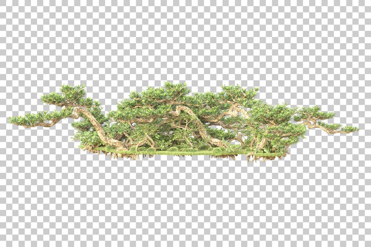 PSD 투명 한 배경 3d 렌더링 그림에 고립 된 단풍 섬
