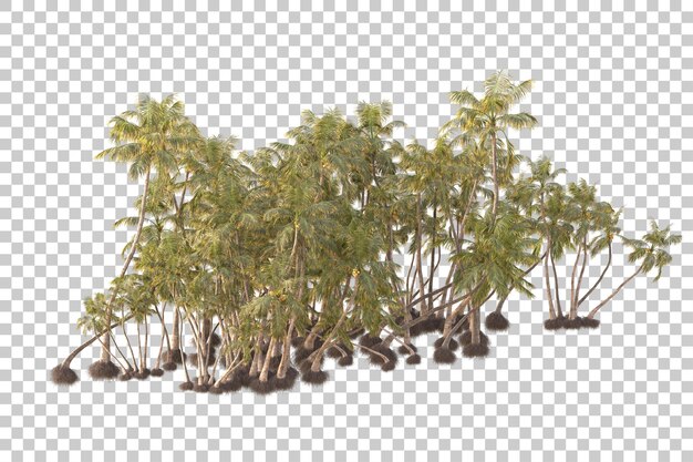 foliage island isolated on transparent background 3d rendering illustration
