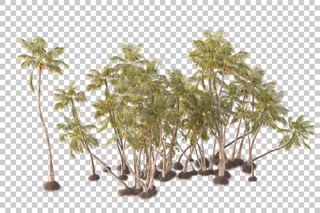 foliage island isolated on transparent background 3d rendering illustration