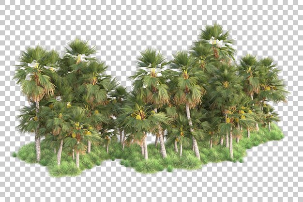 foliage island isolated on transparent background 3d rendering illustration